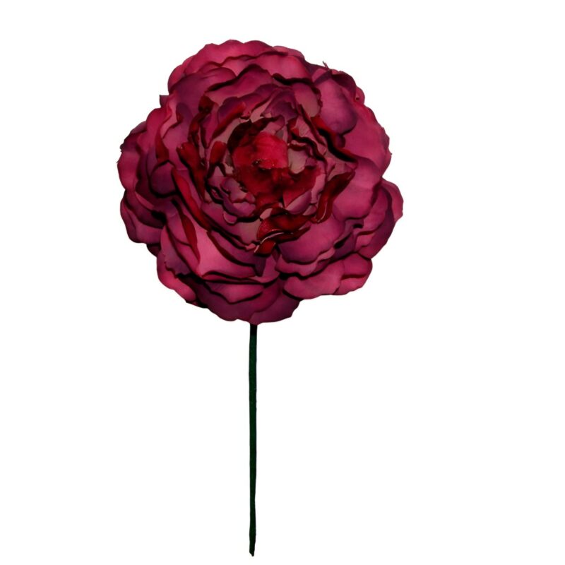 Flor Flamenca Peonía Cardenal