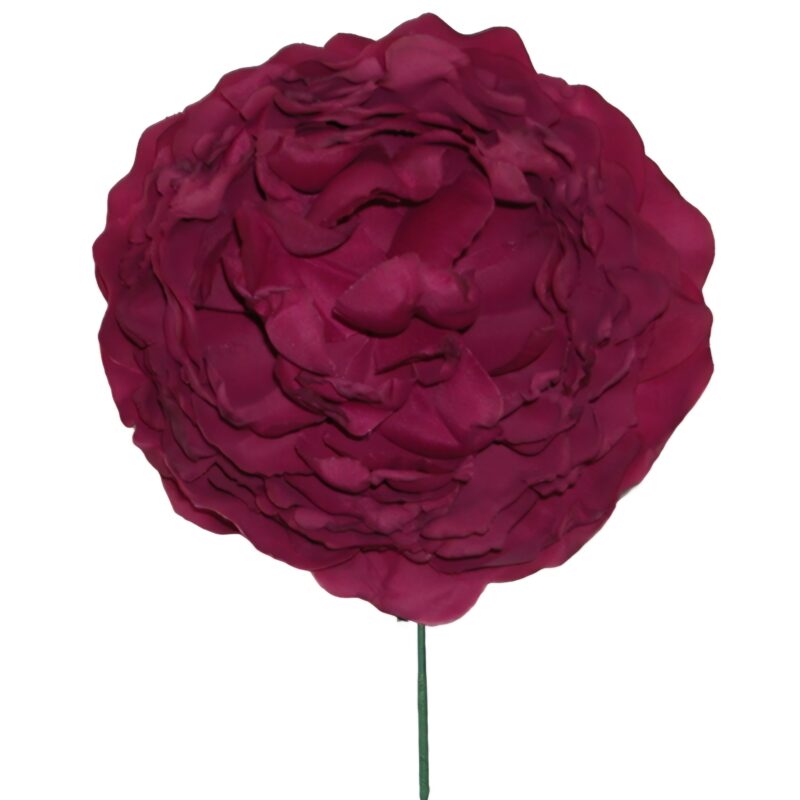 Flor Flamenca Hoja Rizada Buganvilla