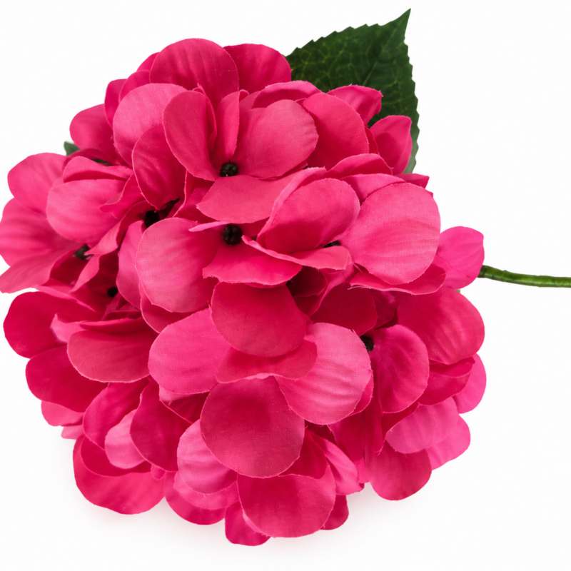 Flor Flamenca Hortensia
